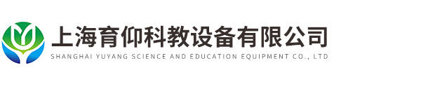 开云手机入口官网